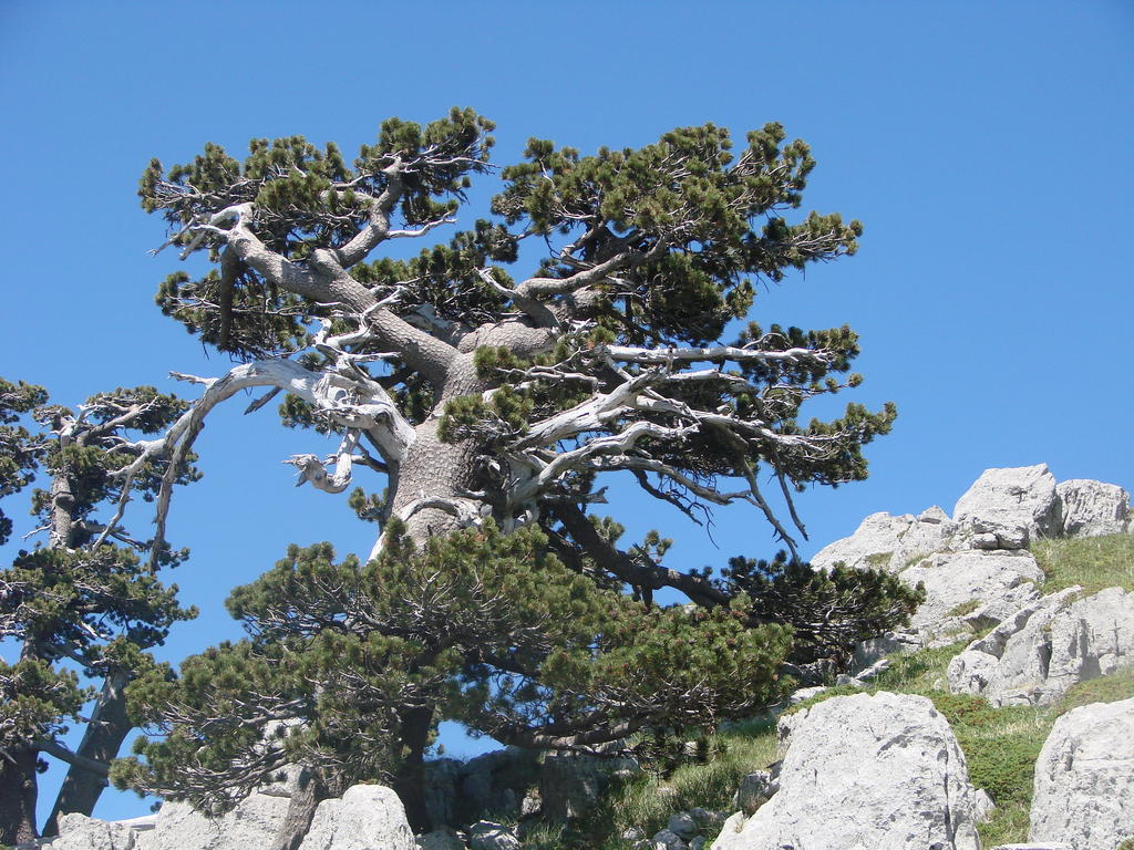 Montagne Rocciose Frascineto Exterior foto